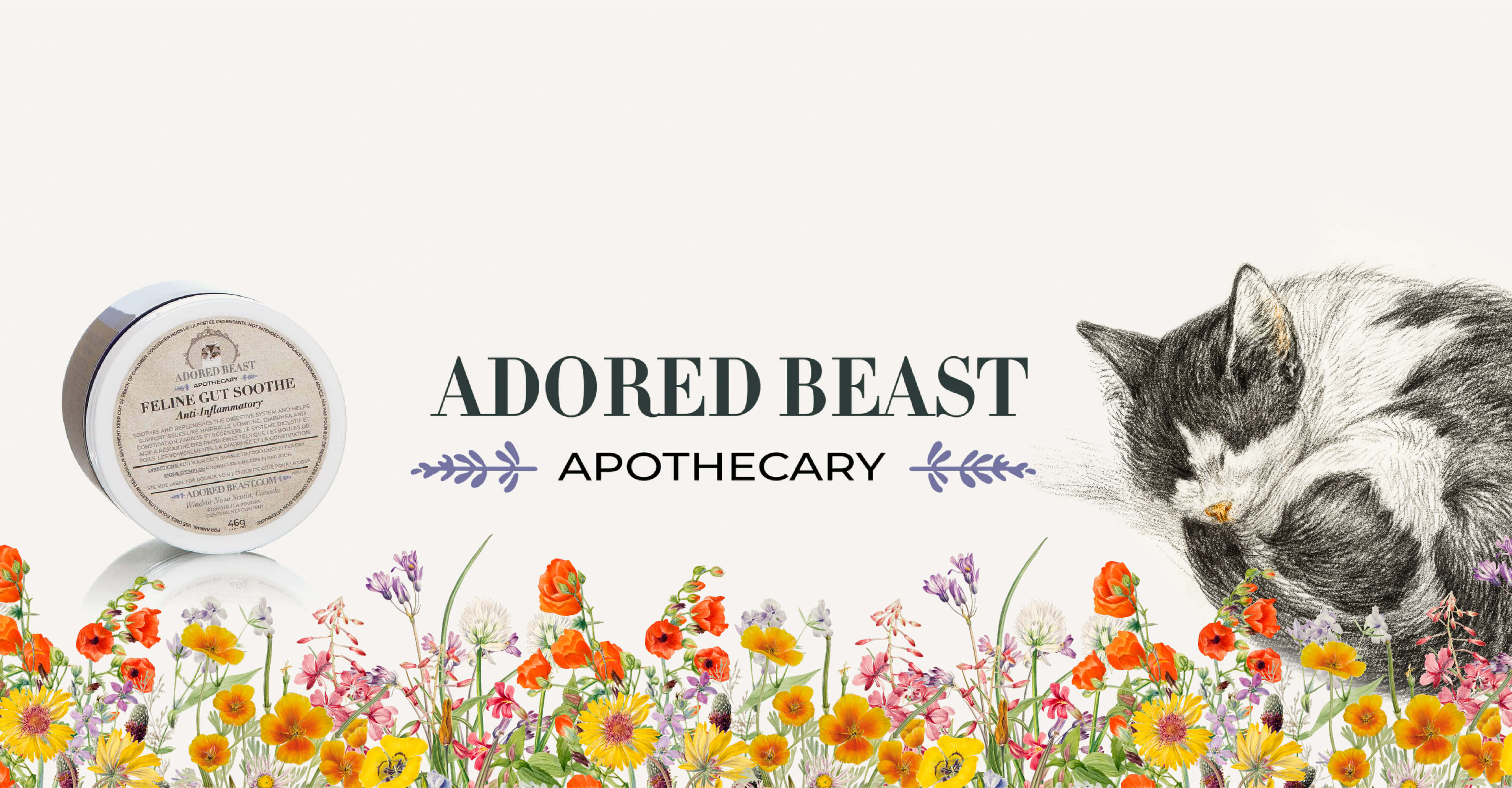 Probiotics For Cats & Dogs With Adored Beast Apothecary
