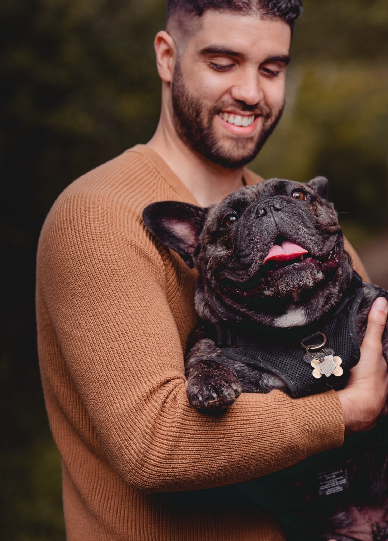 Bone & Biscuit Yonge Sheppard Now Open Bone & Biscuit