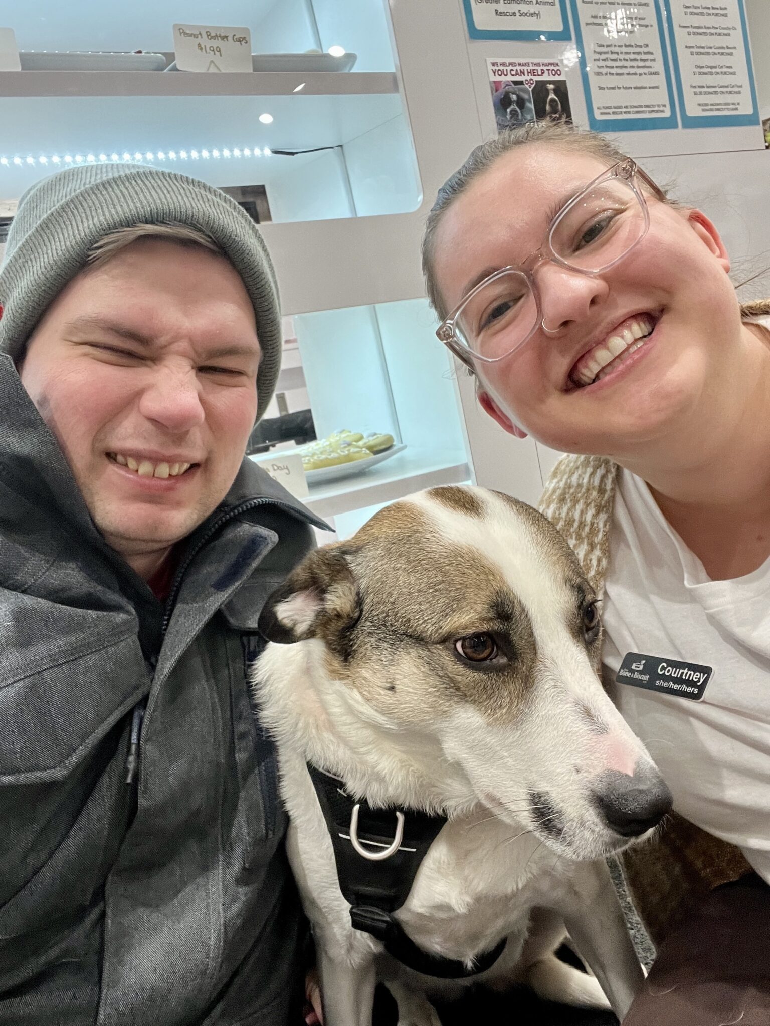 Bone & Biscuit Garneau Spotlight Bone & Biscuit