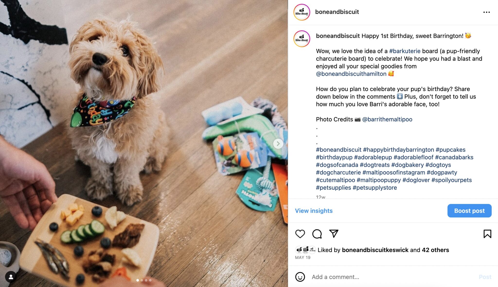 Bone & Biscuit’s Guide To An Epic Dog Birthday Party